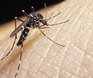 Zika: pesquisadores não veem motivos para mudar Olimpíadas