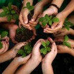 Projeto de lei visa o ensino de educação ambiental em escolas