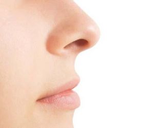 Formato do nariz pode ter influência do clima, diz pesquisa