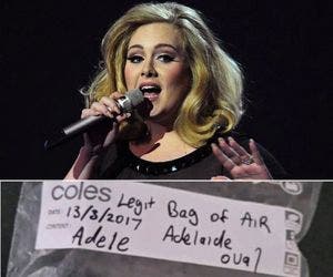 Saco de ar respirado por Adele está à venda na internet