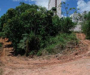 Desmatamento na Estrada do Mandu assusta moradores de São Marcos