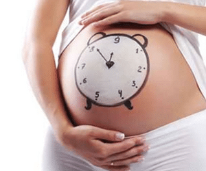 Gravidez, ovulação e fertilidade: o que é verdade e o que é mito