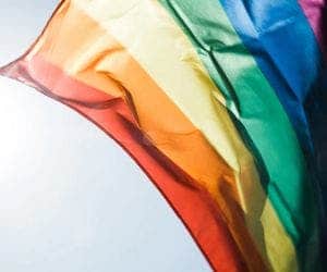 Cartilha da família: casamento gay é contra 'propósito divino'