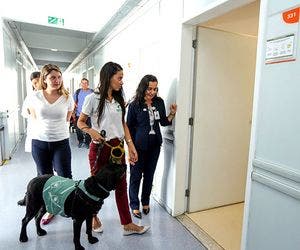 ‘Cão Amigo' auxilia no tratamento de pacientes no Santa Izabel