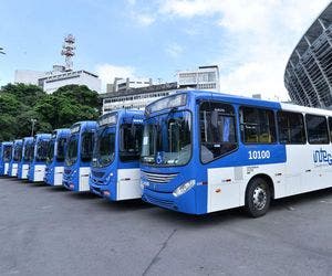 Dois de Julho: Linhas de ônibus são reforçadas durante festejos
