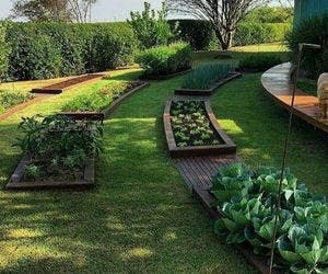 Casas são locais ideais para cultivo de hortas