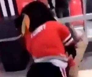 Vídeo: torcedor é agredido com socos por mascote do próprio time