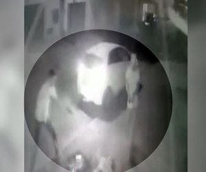 Vídeo mostra casal sendo morto a tiros ao entregar marmita