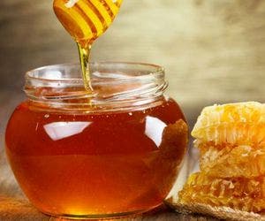 Veja os benefícios de consumir mel regularmente
