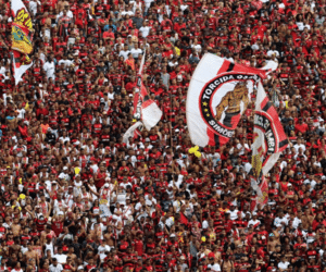 Vitória x Oeste: o que esperar do confronto no Barradão