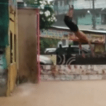 Vídeo: homem salta de imóvel em rua alagada e mergulha na lama