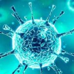 Quais assuntos relacionados ao coronavírus podem cair no Enem?