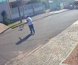 Câmera registra momento em que homem mata cachorro a tiros