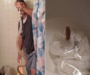 Cobra sai de dentro de vaso sanitário e é adotada por morador