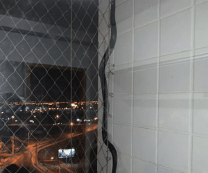 Moradores se assustam ao encontrarem cobra na varanda do 4º andar