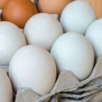 13 alimentos para substituir o ovo no cardápio e nas receitas