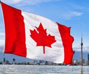 Canadá recruta brasileiros para trabalhar na área de tecnologia