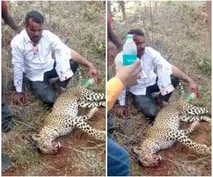 Homem entra em 'luta mortal' contra leopardo e sai vencedor