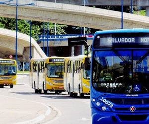 Linhas de ônibus passam por mudanças a partir de sábado (31)