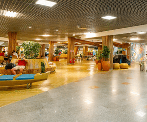 Aeroporto de Salvador é considerado o mais sustentável do Brasil