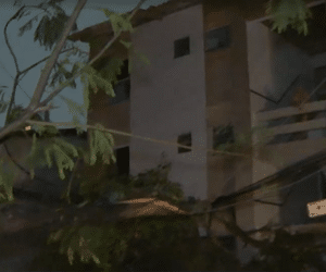 Árvore cai sob fios e deixa moradores sem energia em Salvador