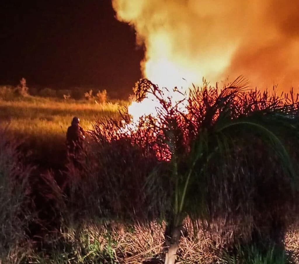Incêndio atinge área de vegetação em fazenda no oeste da Bahia