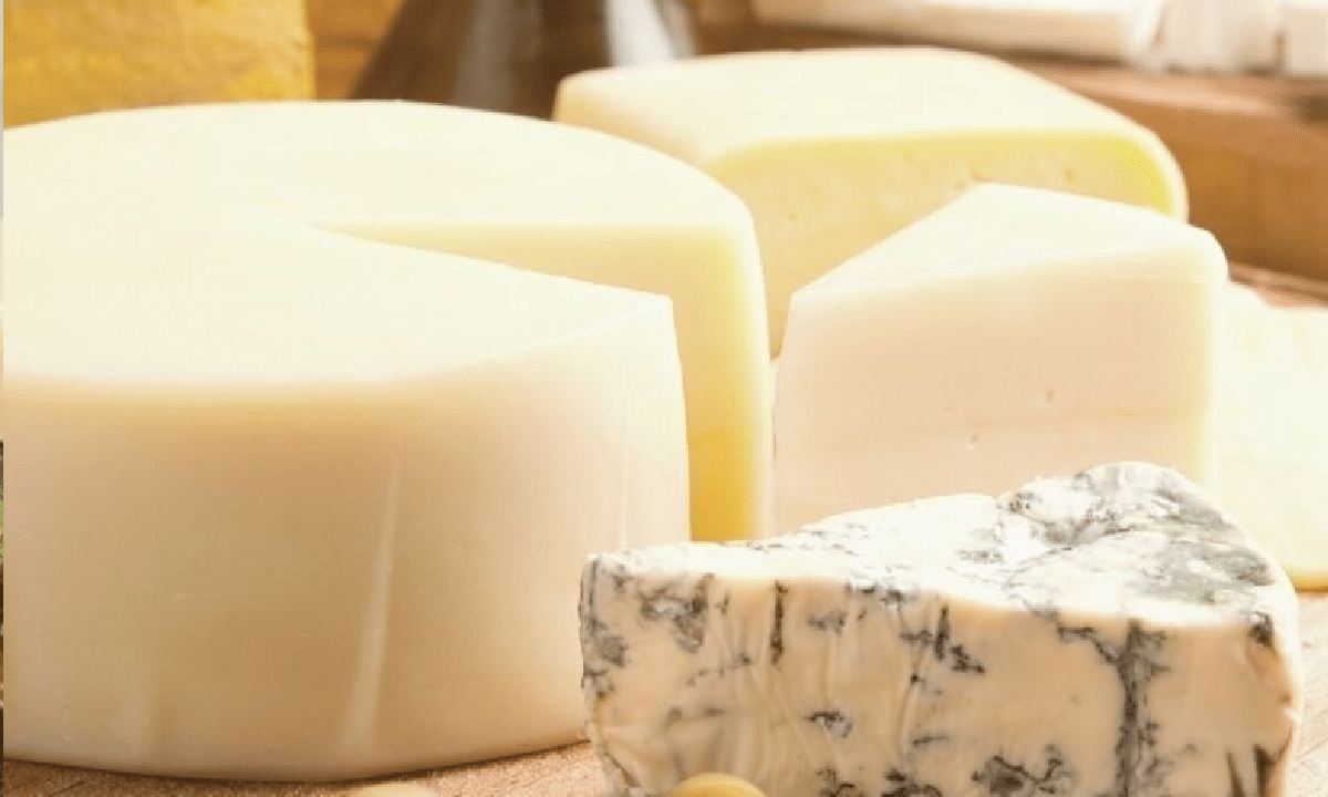 Decisão sobre alíquota de importação de queijos beneficia produtores rurais, diz Sindileite-BA
