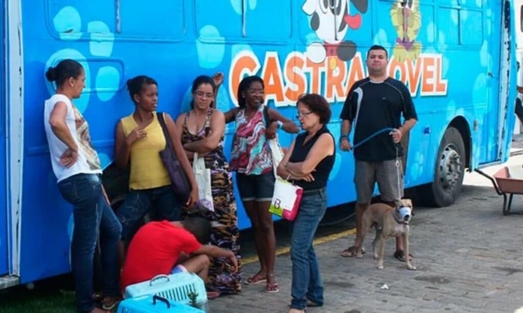 Furto de cabos de energia suspende atendimento em castramóvel de Salvador