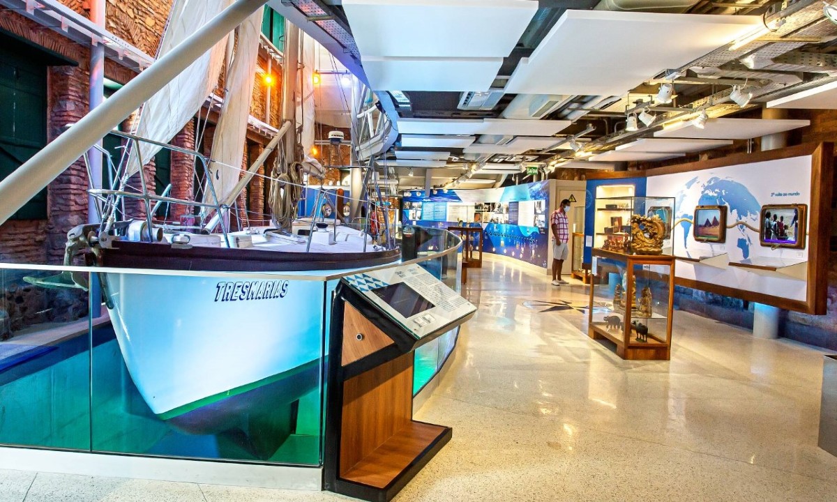 Museu do Mar abre programação de férias com exposição do Projeto Tamar
