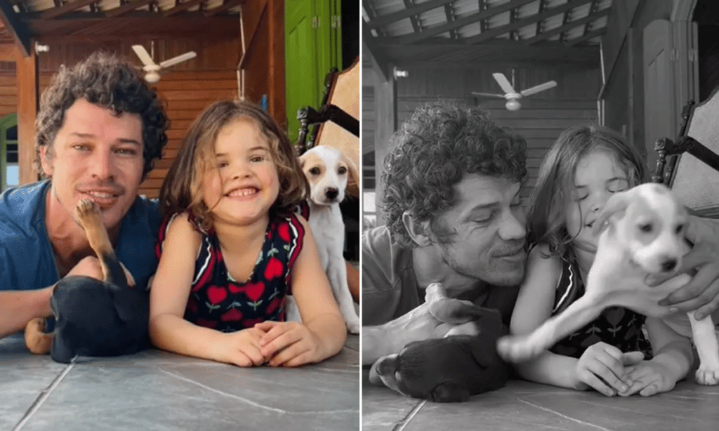 VÍDEO: José Loreto adota dois cachorros e mostra encontro dos bichinhos com a filha