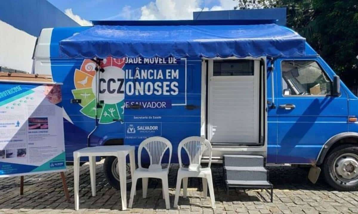 Esporotricose avança em Salvador e secretaria cria unidade móvel para conter doença 