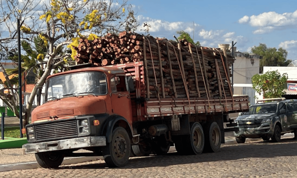 Homem sem habilitação é flagrado com carga de madeira ilegal avaliada em meio milhão de reais na Bahia