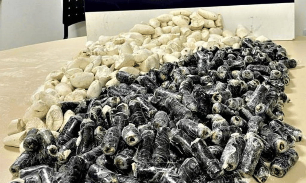 Boliviana é presa com cápsulas de cocaína camufladas de batatas em ônibus na Bahia