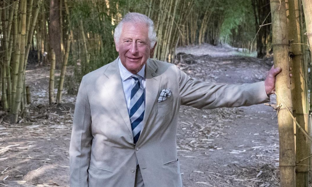 Príncipe Charles: conheça filho da rainha Elizabeth II que assume monarquia do Reino Unido