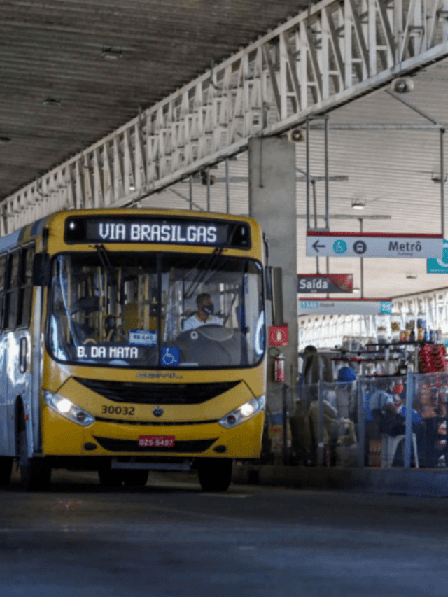 Confira quais cidades baianas têm passagem de ônibus gratuita no segundo turno