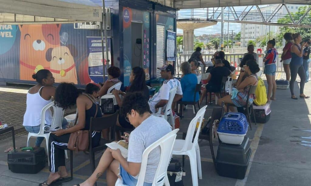 Castramóvel inicia atendimento gratuito em shopping de Salvador