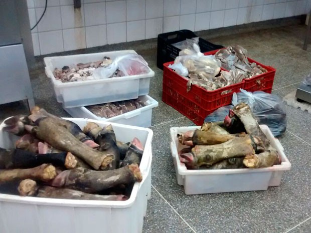 Vigilância Sanitária apreende 1,2 tonelada de carne e interdita açougue (Foto: Divulgação/Ascom Saúde)